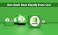 do shopify store marketing with guaranteed website sales