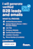 generate verified b2b leads and emails