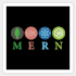 develop web applications using the mern stack