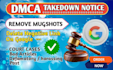 remove mugshots delete negative links erase bad article false news in google