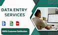 be your professional data entry operator