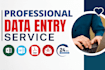 be your reliable data entry operator