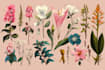 create amazing botanical illustration