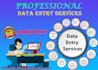do data entry, copy paste