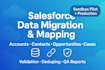 setup salesforce account contact opportunities case migration validation mapping