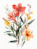 draw a botanical illustration