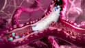 create 3d medical device, anatomical and scientific explainer animation video