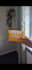 create a british ugc video for social media
