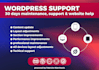 provide monthly wordpress maintenance support and website help