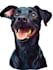 make disney pets portrait illustration in disney style