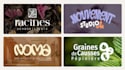 create a beautiful custom logo