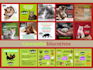 design and write educational carousels