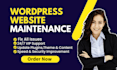 do monthly website maintenance