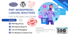 fix bugs errors from HTML, CSS, javascript, PHP, wordpress
