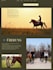 design a wix website for horse riding schools and equestrian clubs