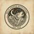 design vintage wolf logo