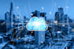 provide professional IT support
