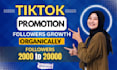 promote tiktok with organic growth and safe strategies