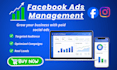 manage facebook ads and lead generation campaigns