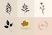 design hand drawn minimalist feminine boho botanical logo