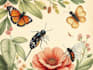 draw high quality animal, insect, and botanical art