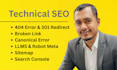 fix 404, 301, broken link, sitemap, canonical, and robots txt