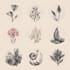 design a botanical doodle hand drawn logo