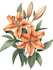 illustrate best botanical illustration