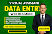any type of data entry and website research work