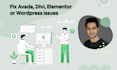 fix avada, elementor, divi, wordpress error