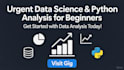 do urgent beginner data science services and fast python analysis