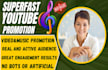do youtube video and channel promotion