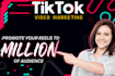 promote your tiktok reels to millions fast