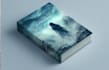 create a unique fantasy book cover illustration