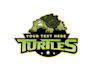 design amazing turtle logo  with free source files