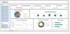 create professional excel dashboards and reports
