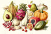 illustrate digitally realistic fruits or veggies