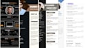 bulid your resume professionaly