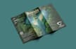 design a premium brochure with a professional layout