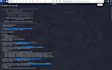 do vulnerability assessment and penetration testing  report