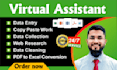 be your expert administrative virtual assistant for all data tasks