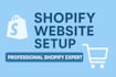 setup a basic shopify website