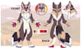 draw fursona ref sheet, furry ref sheet,  anthro ref sheet, furry ref sheet nsfw