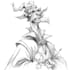 create pen and ink character drawings and concept art