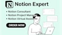 notion expert, notion consultant, notion project manager and virtual assistant