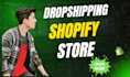 create a professional and high converting shopify store or dropshipping website