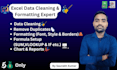 clean, organize, and format your excel data professionally