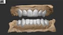 3d cad grillz as diverse and as quickly as possible