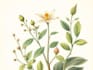 draw your botanical scientific illustration