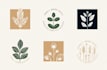 design boho chic botanical logo